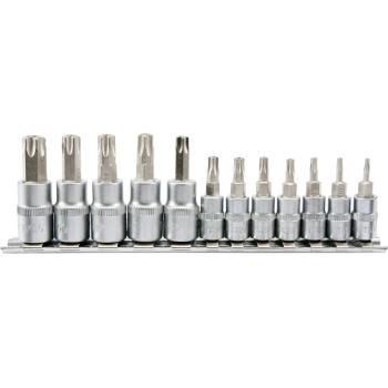 rum_pl_set-biti-torx-canelate-